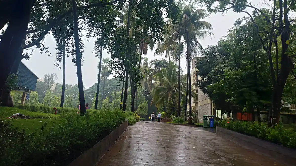 How to Read an IMD Weather Warning Before Sharing It
