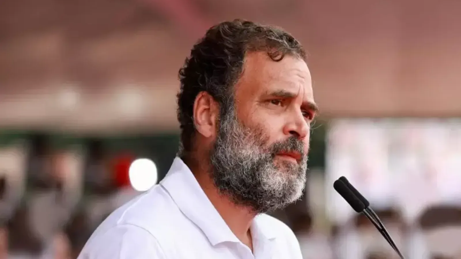 INDIA Bloc Moves Supreme Court Against ECI Over Electoral Roll Process