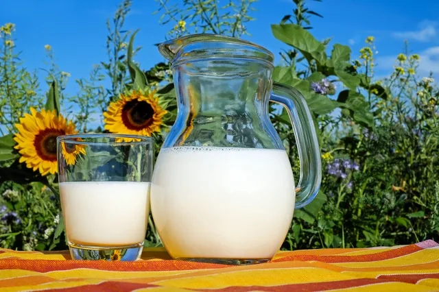 Short Story - The story of a Milkmaid