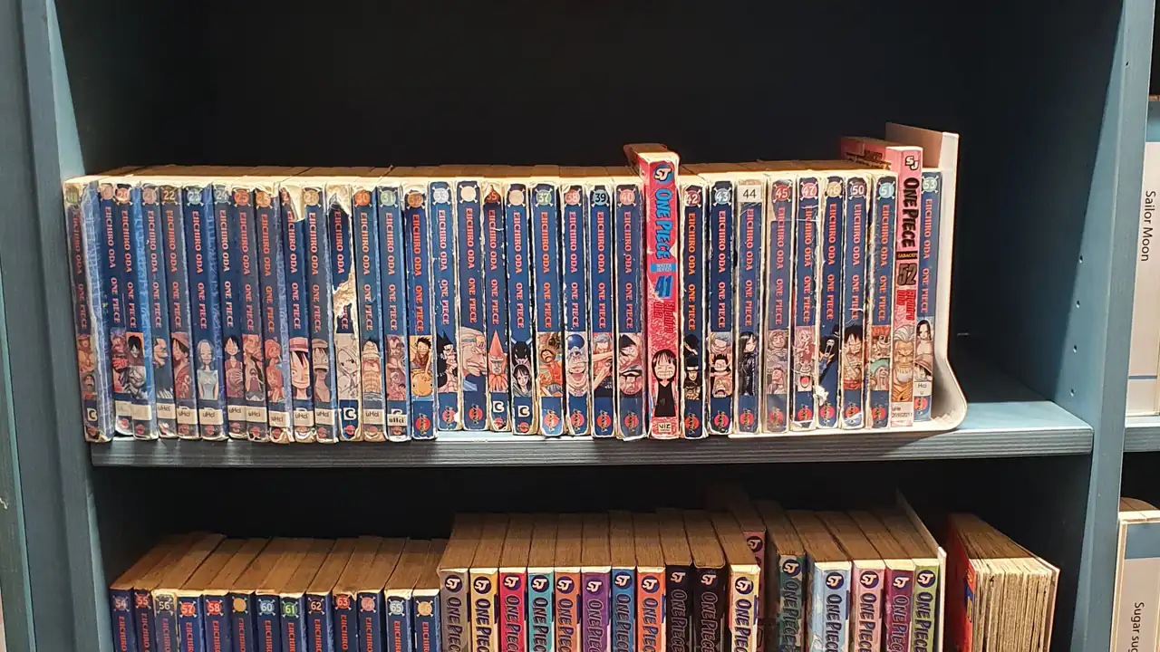 One Piece, THE ONE PIECE and Live Action: Which Is Which?